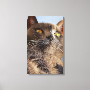 Animal Art Canvas Print