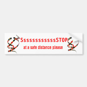 Animal Art Coral Snakes Bumper Sticker