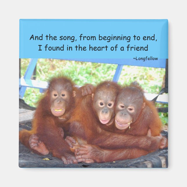 Animal Babies Friendship  3's Not a Crowd Magnet (Front)