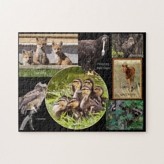 Animal Babies Jigsaw Puzzle (Horizontal)