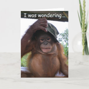 Animal Baby  Be My Valentine Holiday Card