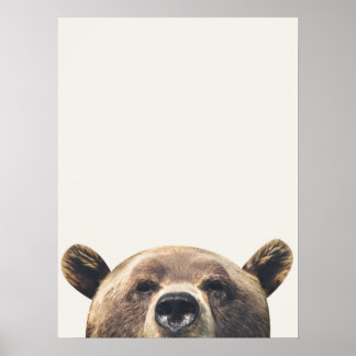 Animal Bear Poster