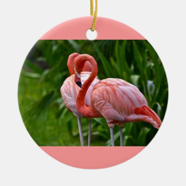 Animal Bird American Flamingo Ornament (Front)