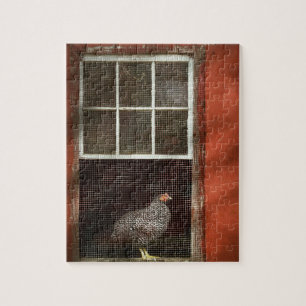 Animal - Bird - Chicken in a window Jigsaw Puzzle