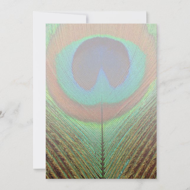 Animal - Bird - Peacock Feather (Front)