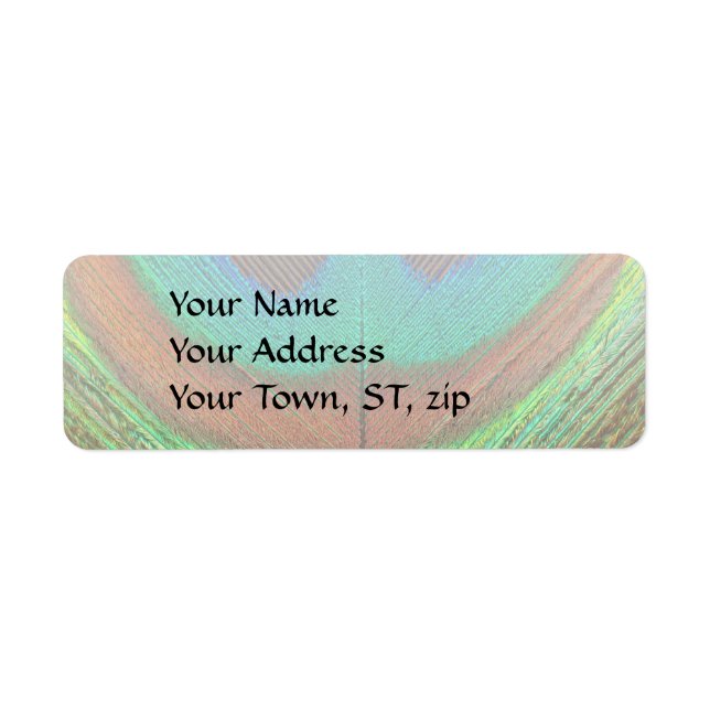 Animal - Bird - Peacock Feather (Front)