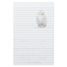 Animal Bird Snowy Owl Looking at Me