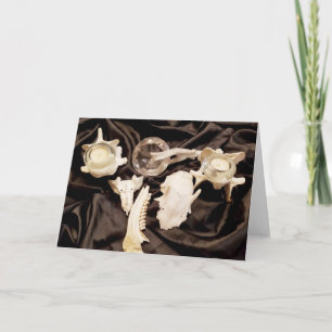 Animal Bones and Candles On Black Satin Card