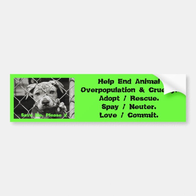 Animal Bumper Stickers (Front)