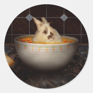 Animal - Bunny - There's a hare in my soup Classic Round Sticker
