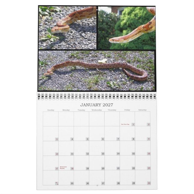 Animal Calendar (Jan 2027)