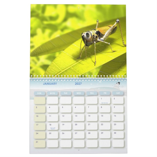 Animal Calender 8 Calendar (Jan 2027)