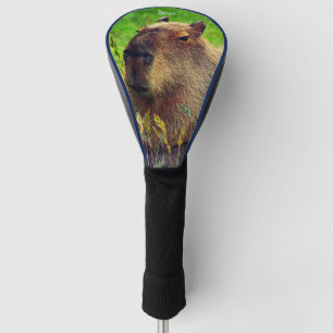 Animal Capybara Golf Head Cover