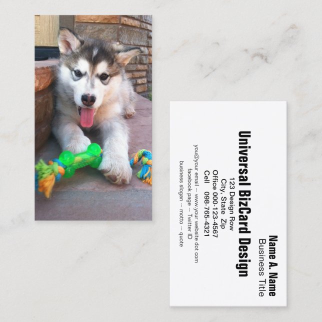 Animal Care Alaskan Malamute Photo Professional Business Card (Front/Back)