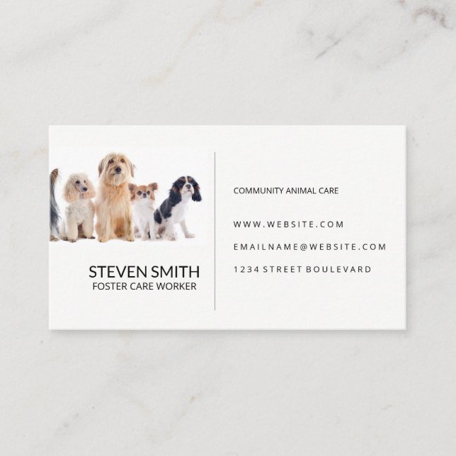 Animal Care | Doggies | Health Care Business Card (Front)