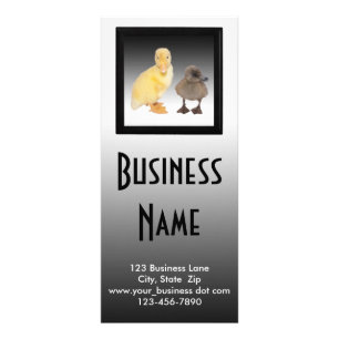 Animal Care Occupation Adorable Ducklings Photo Rack Card