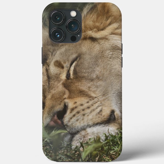 Animal  Case-Mate iPhone case (Back)