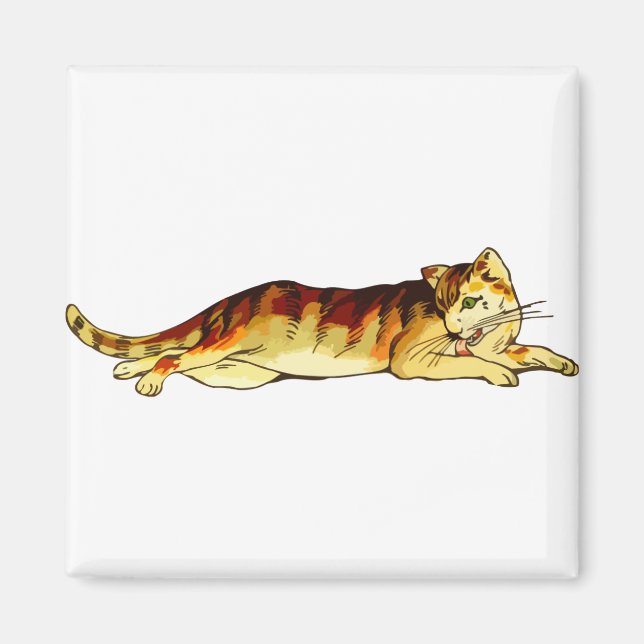 Animal Cat Mammal Pet Magnet (Front)