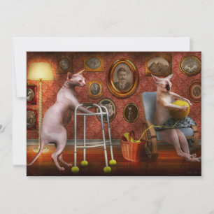 Animal - Cat - Retirement home for cats Invitation