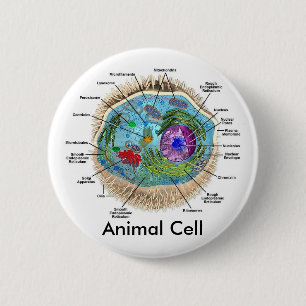 Animal Cell 6 Cm Round Badge