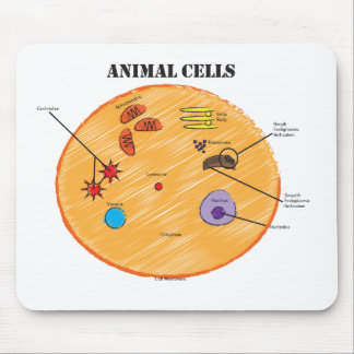Animal Cell Diagram Mouse Mat