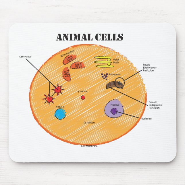 Animal Cell Diagram Mouse Mat (Front)