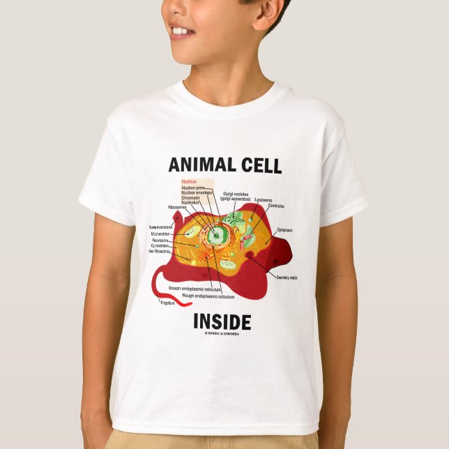 Animal Cell Inside (Eukaryote Cell Biology) T-Shirt (Front)