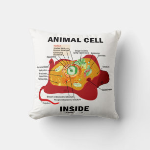 Animal Cell Inside Eukaryote Diagram Cushion