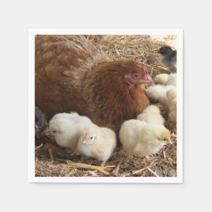 animal, chick, chicken, farm, cute, bird, baby, napkin