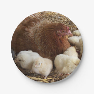 animal, chick, chicken, farm, cute, bird, baby, paper plate