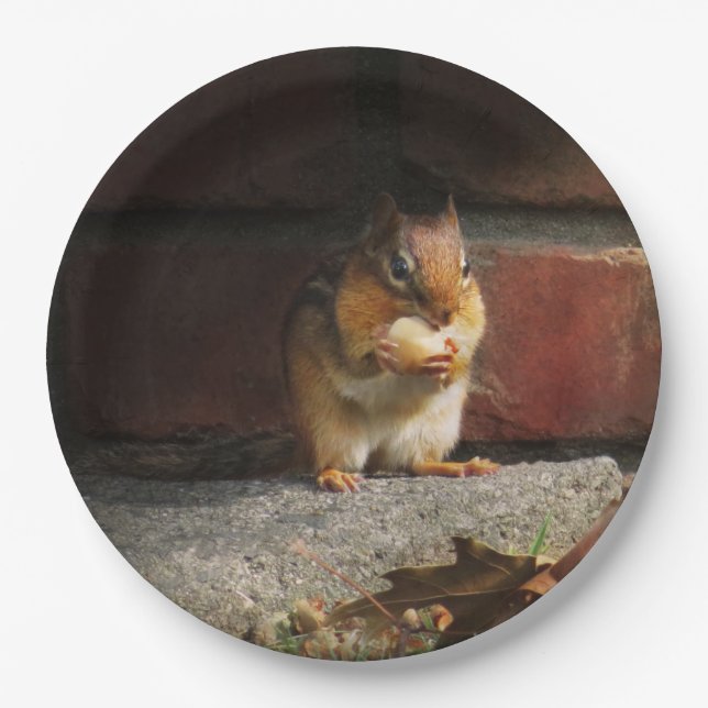Animal - Chipmunk - It's all mine Paper Plate (Front)