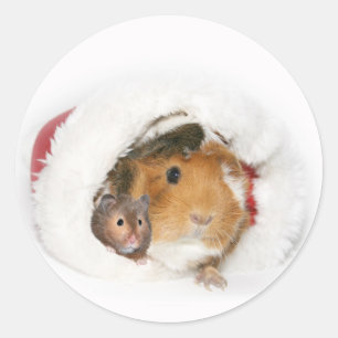 Animal Christmas sticker