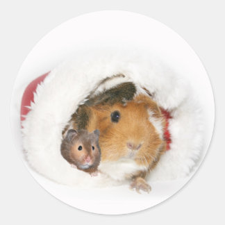 Animal Christmas sticker