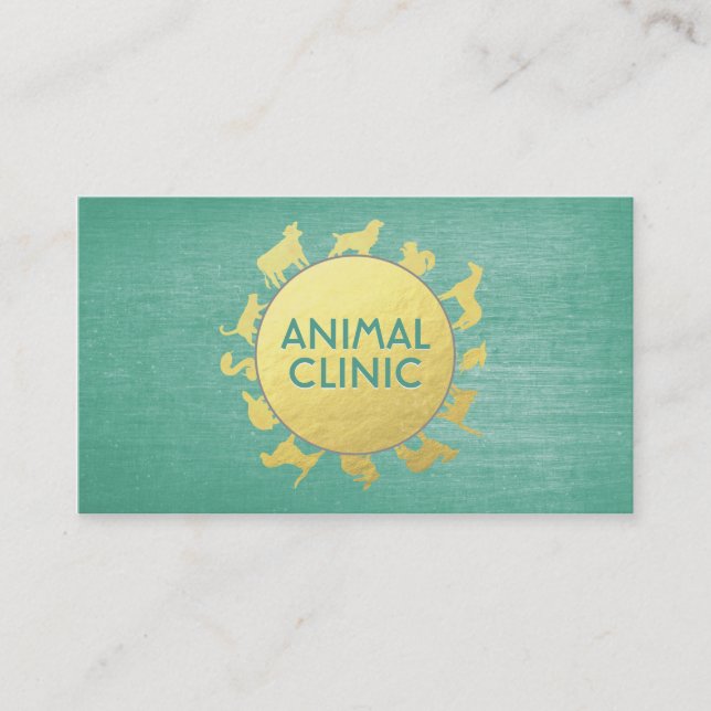 Animal Clinic Hospital Pet Care Sitter Gold Animal Appointment Card (Front)