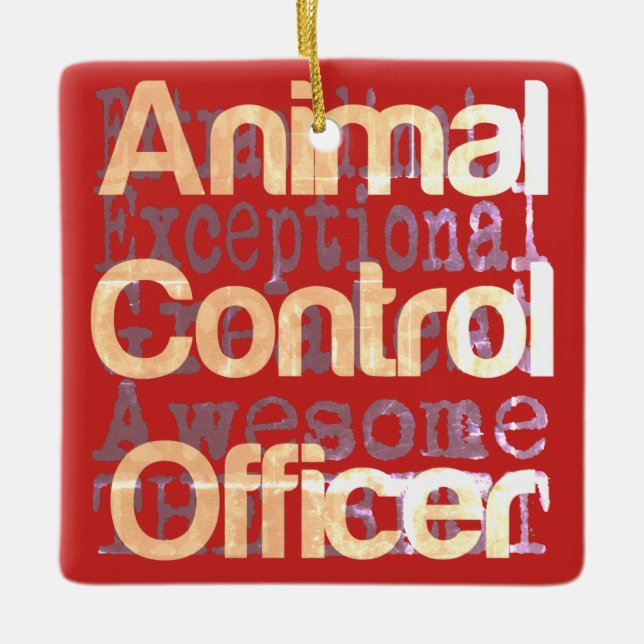 Animal Control Officer Extraordinaire Ceramic Ornament (Front)