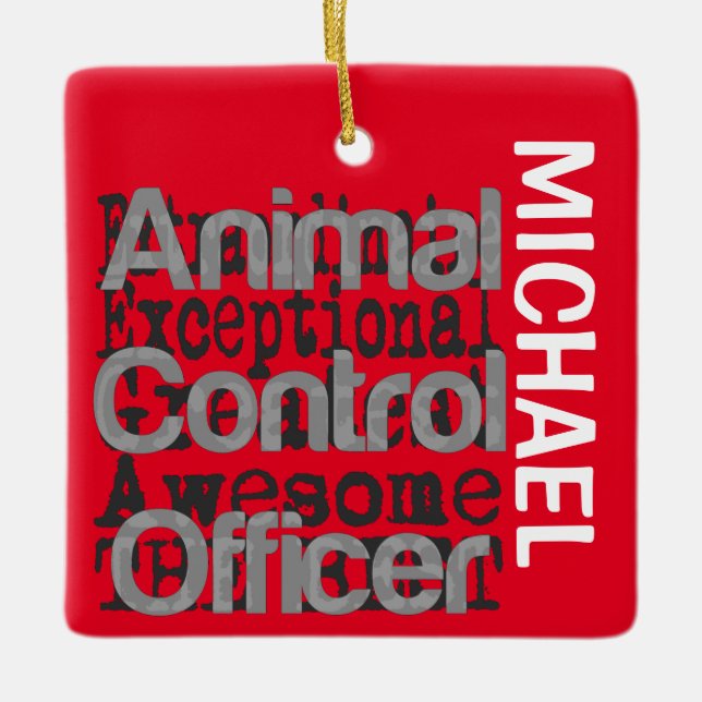 Animal Control Officer Extraordinaire CUSTOM Ceramic Ornament (Front)