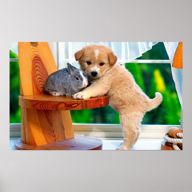 Animal Cuteness Poster (Creator Uploaded)