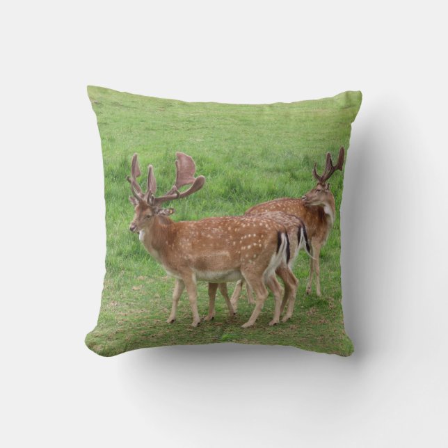 animal, deer, wildlife, forest, meadow, hunting, cushion (Front)