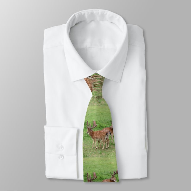 animal, deer, wildlife, forest, meadow, hunting, G Tie (Tied)