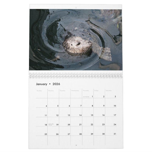 Animal Diversity Calendar (Jan 2026)