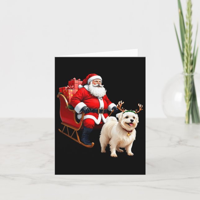 Animal Dog Lover Santa Sleigh Maltese Reindeer Chr Card (Front)