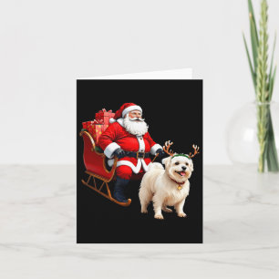 Animal Dog Lover Santa Sleigh Maltese Reindeer Chr Card