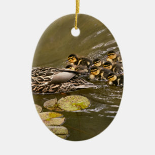 Animal - Ducks - Swim like a duck Ceramic Tree Decoration