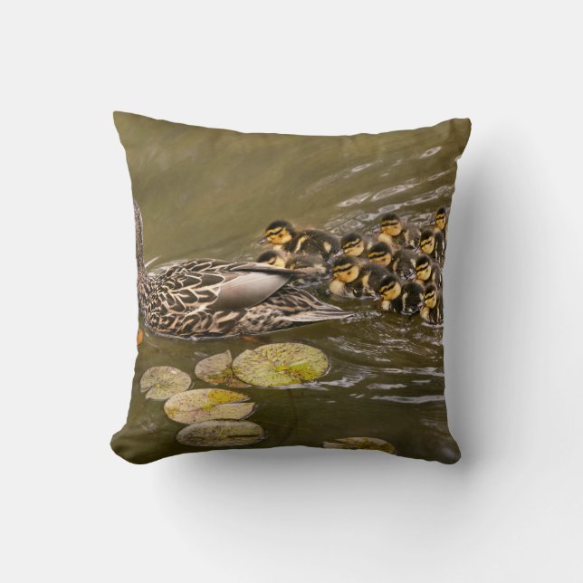 Animal - Ducks - Swim like a duck Cushion (Front)