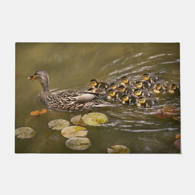 Animal - Ducks - Swim like a duck Doormat (Front)