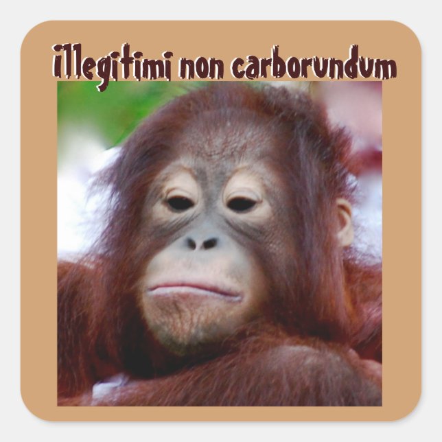 Animal Faces: Illegitimi non carborundum Square Sticker (Front)