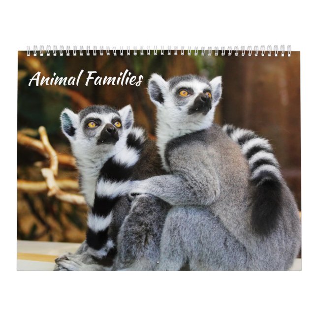 Animal Families Calendar (Cover)