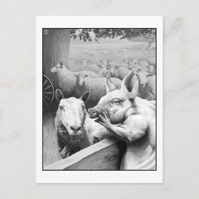 Animal Farm - Squealer Postcard (Front)