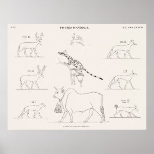 Animal figures from the original paintings poster