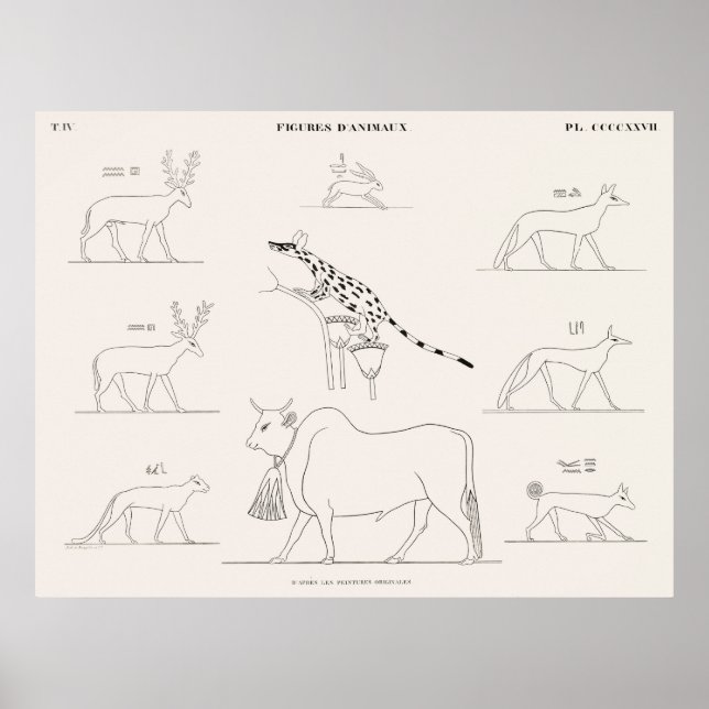 Animal figures from the original paintings poster (Front)